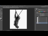 видео урок фотошоп работа с маской (обезьяна)